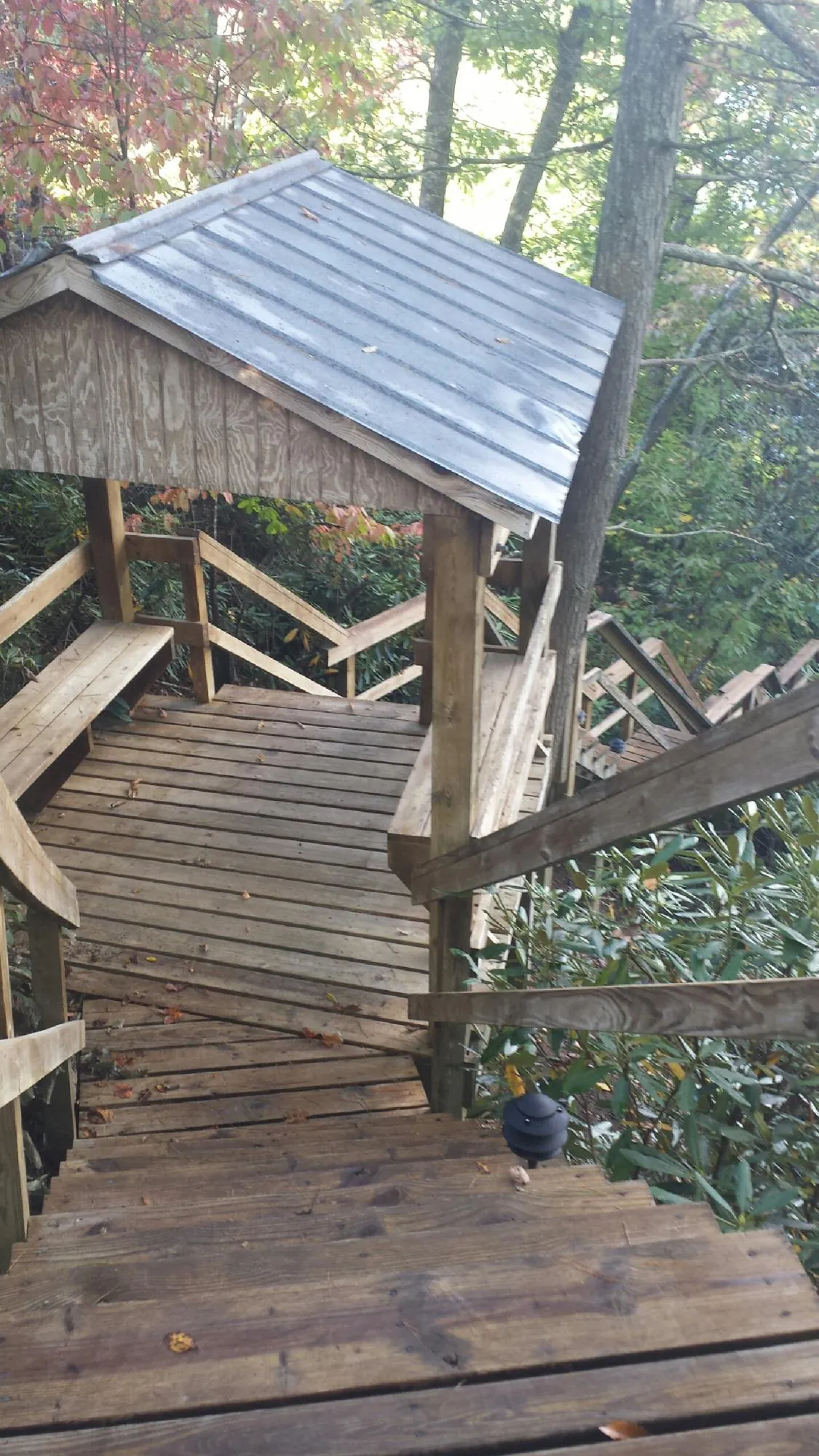 Metal roofed shelter over wooden steps on a wooded walkway — Skylight Repair & Installation work by our crew in Gridley