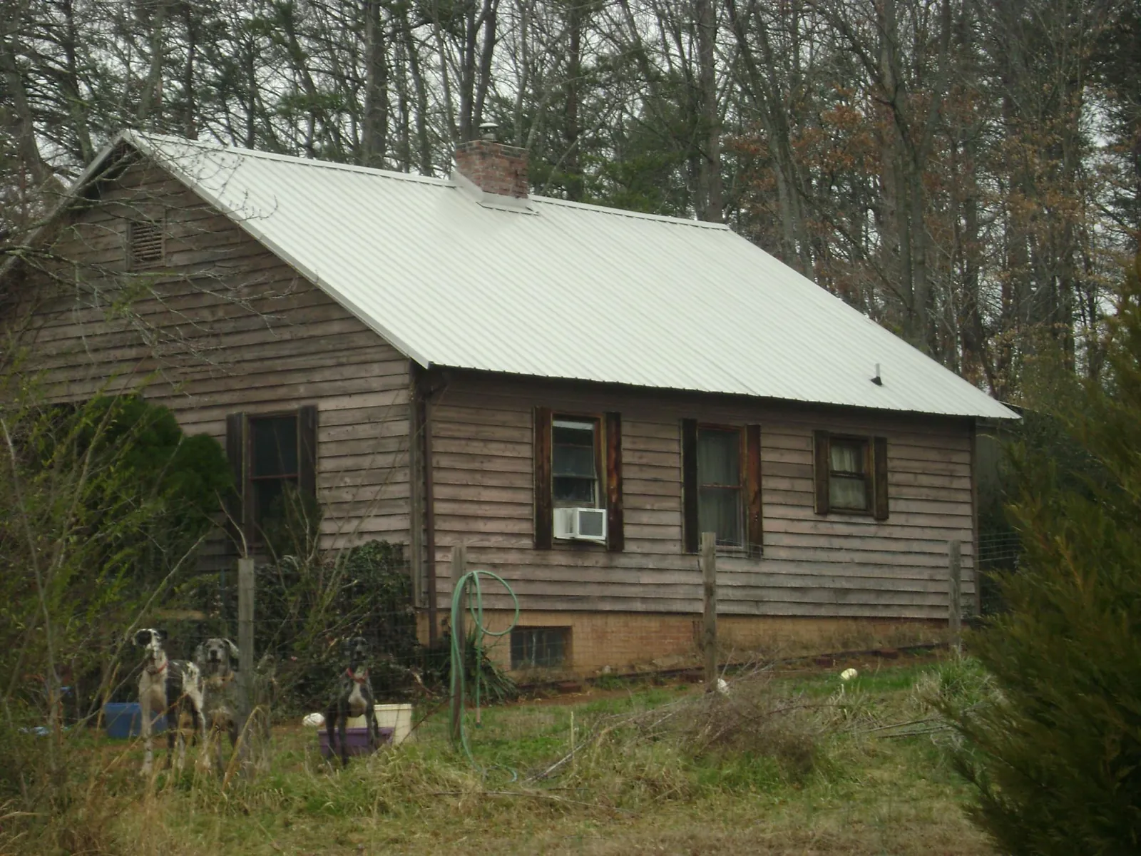 White metal roof on an old wood sided farmhouse, from a Metal Roof Installation job in Gridley